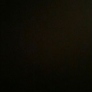 Meet your Posher, Anne